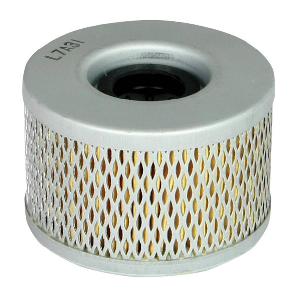 filtrex Filtrex paper oil filter - #002